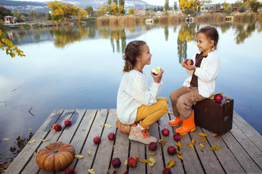 Similar image 6587499