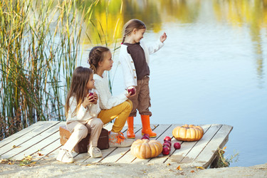 Similar image 6587509