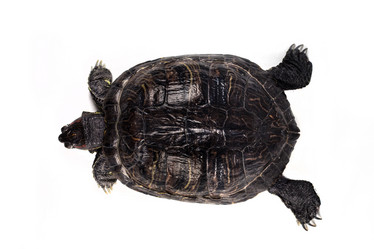 Similar image 6588125