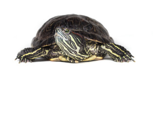 Similar image 6588126