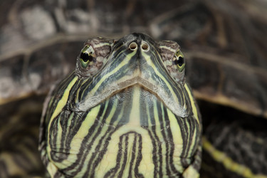 Similar image 6588128