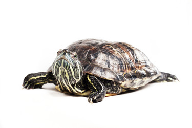 Similar image 6588129