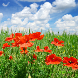 Similar image 6588141