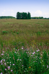 Similar image 6588142