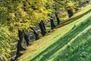 Similar image 6588159