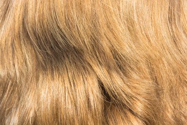 Similar image 6588163