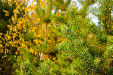 Similar image 6588174