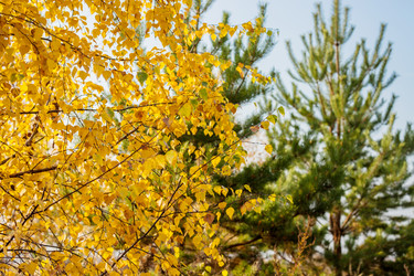 Similar image 6588175