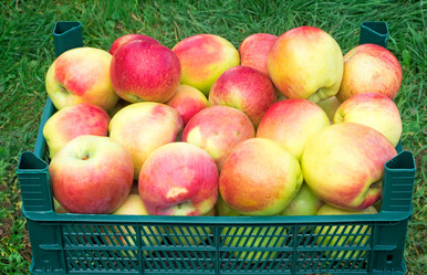 Similar image 6588199