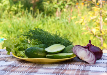 Similar image 6588225