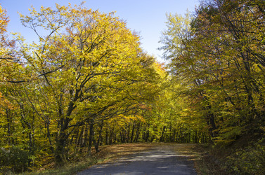 Similar image 6588227