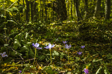 Similar image 6588246