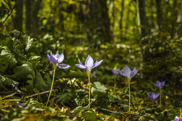 Similar image 6588247