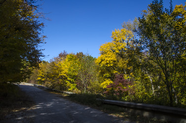 Similar image 6588248