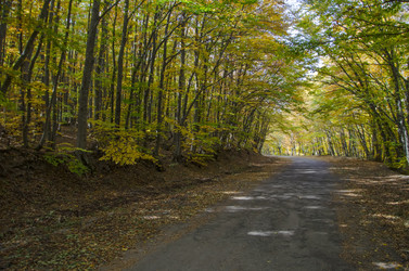 Similar image 6588253