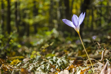 Similar image 6588254