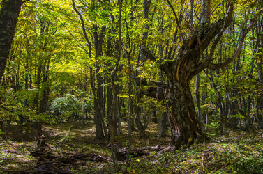 Similar image 6588255