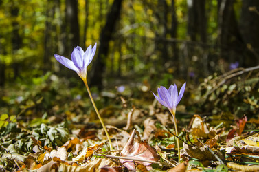 Similar image 6588256