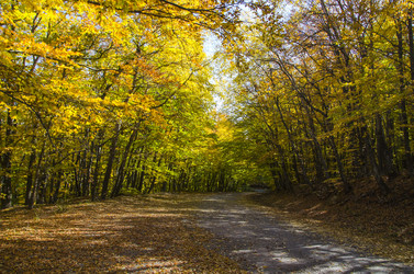 Similar image 6588259