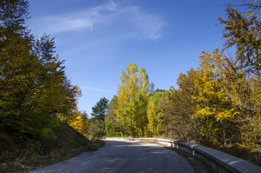 Similar image 6588260