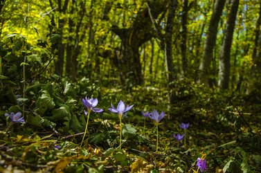 Similar image 6588261