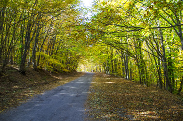 Similar image 6588262