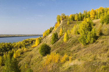 Similar image 6588274