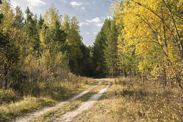 Similar image 6588290