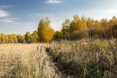 Similar image 6588313