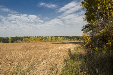 Similar image 6588315