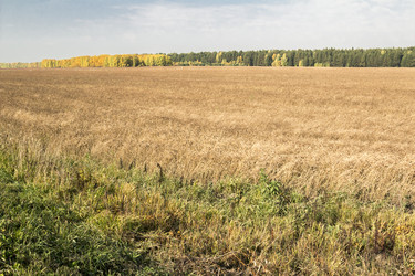 Similar image 6588317