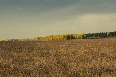 Similar image 6588320