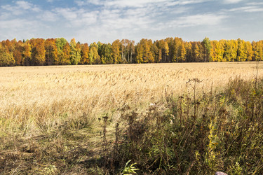 Similar image 6588324