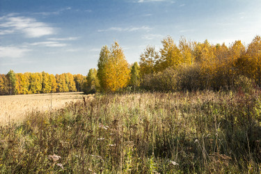 Similar image 6588325