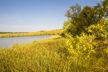 Similar image 6588326