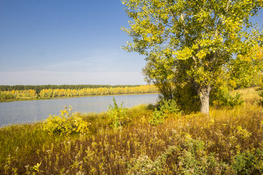 Similar image 6588329