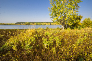 Similar image 6588331