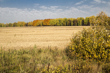 Similar image 6588338