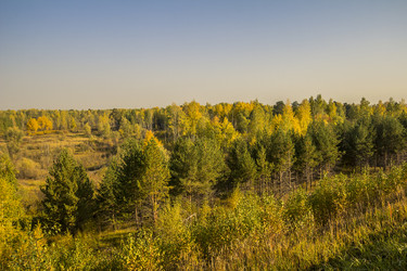 Similar image 6588344