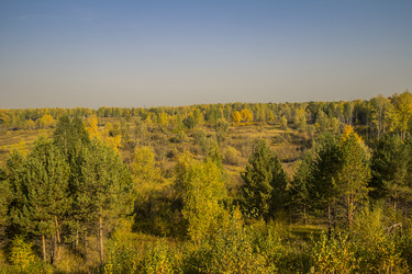 Similar image 6588361