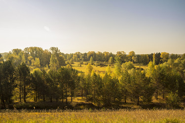 Similar image 6588363