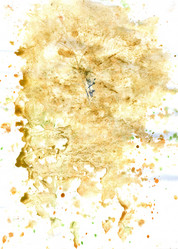 Similar image 6588396