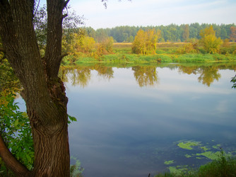 Similar image 6588398