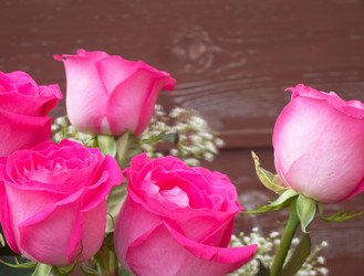 Similar image 6588407