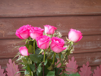 Similar image 6588408