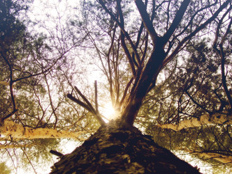 Similar image 6588416