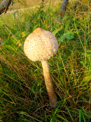 Similar image 6588431