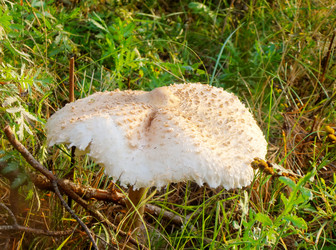 Similar image 6588432