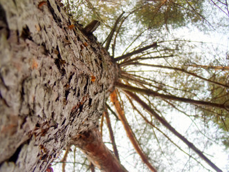 Similar image 6588436