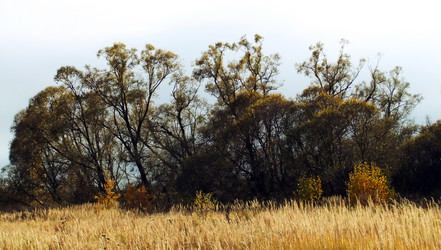 Similar image 6588449